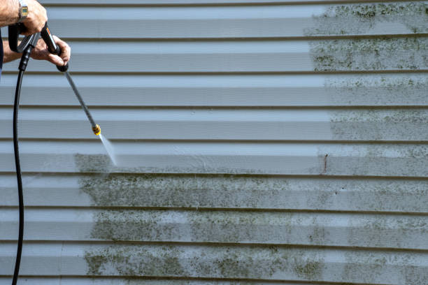 Shed Removal in Alamo, TX